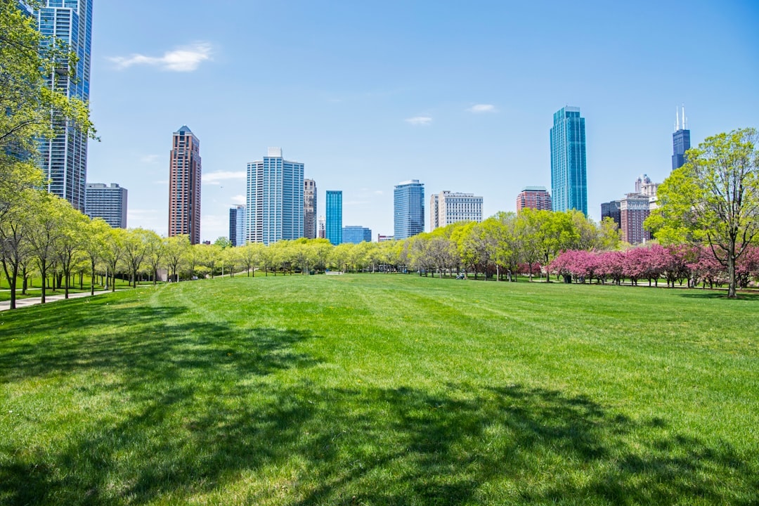 Aerial view of Chicago Lawn, Illinois