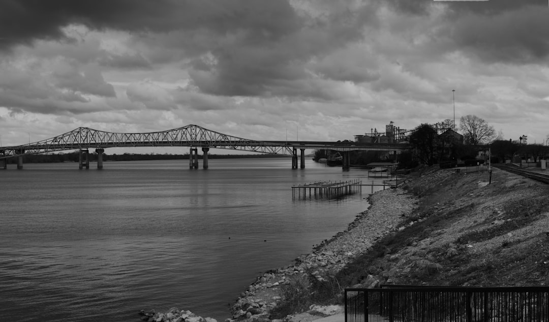 Aerial view of Decatur, Alabama