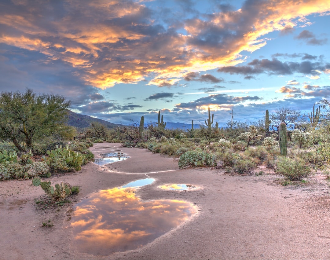 Aerial view of Encanto, Arizona