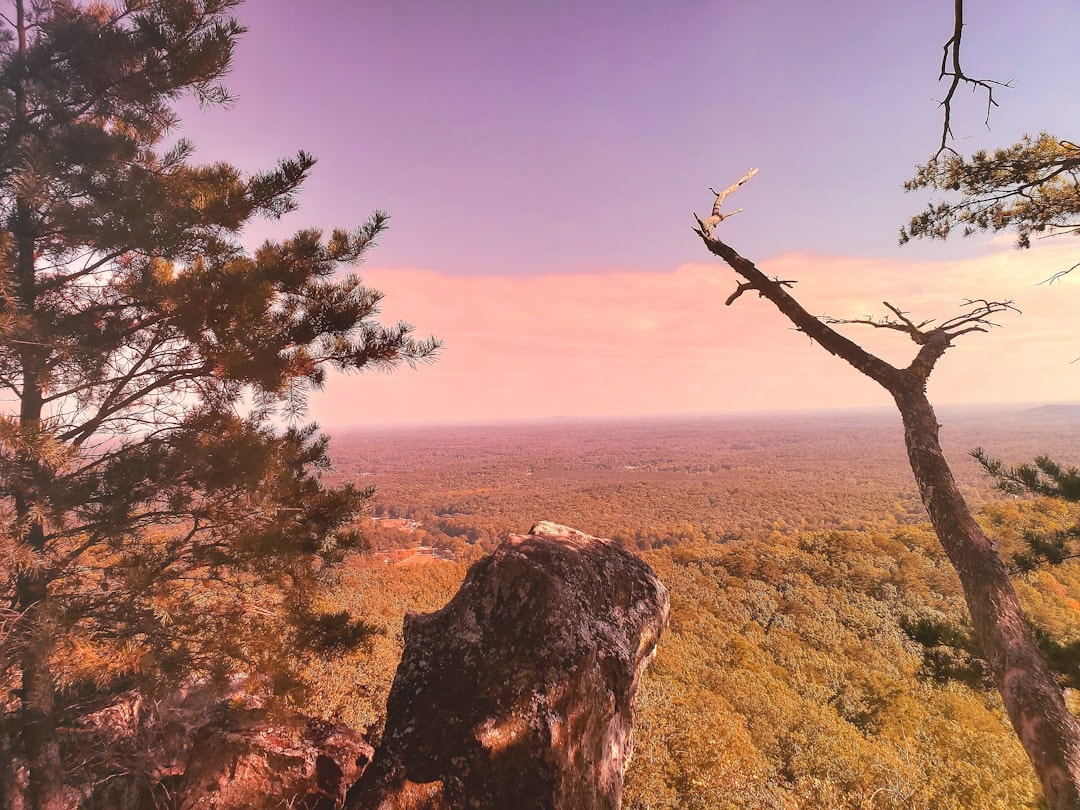 Aerial view of Gastonia, North Carolina