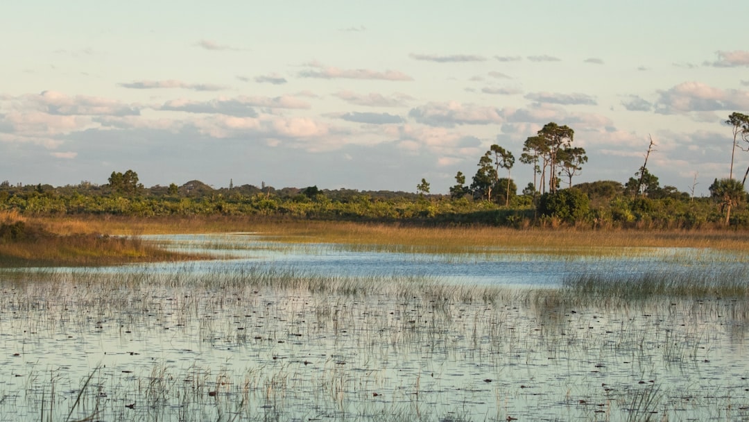 Aerial view of Kendale Lakes, Florida