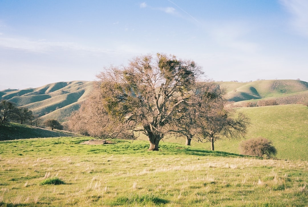 Aerial view of Livermore, California