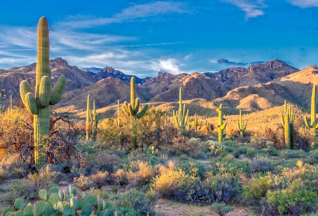 Aerial view of Maricopa, Arizona