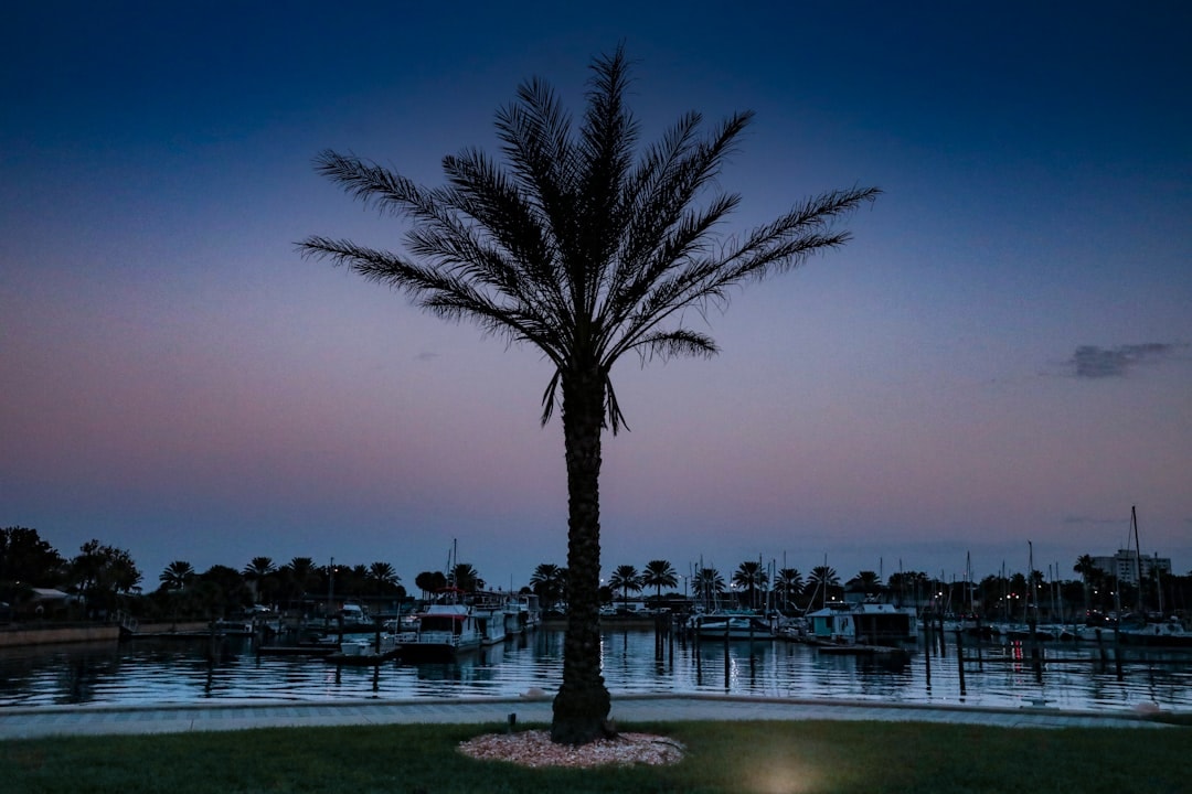 Aerial view of Palm Harbor, Florida