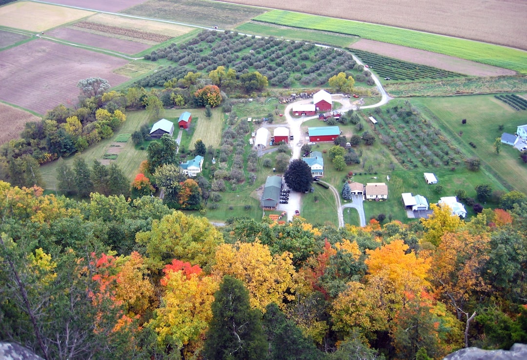 Aerial view of Richmond Hill, New York